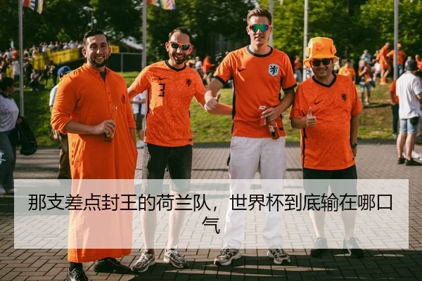 那支差点封王的荷兰队，世界杯到底输在哪口气
