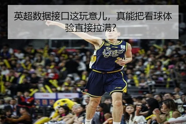 英超数据接口这玩意儿，真能把看球体验直接拉满？