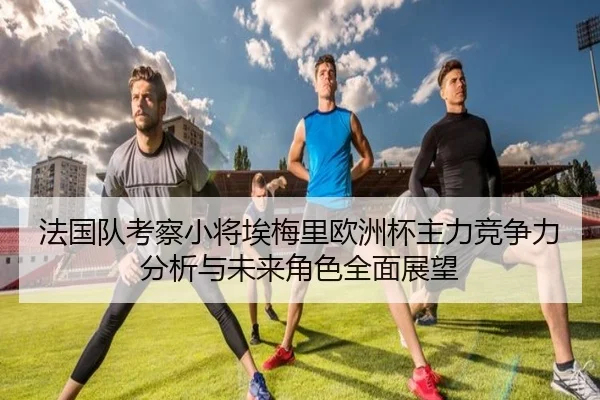 法国队考察小将埃梅里欧洲杯主力竞争力分析与未来角色全面展望