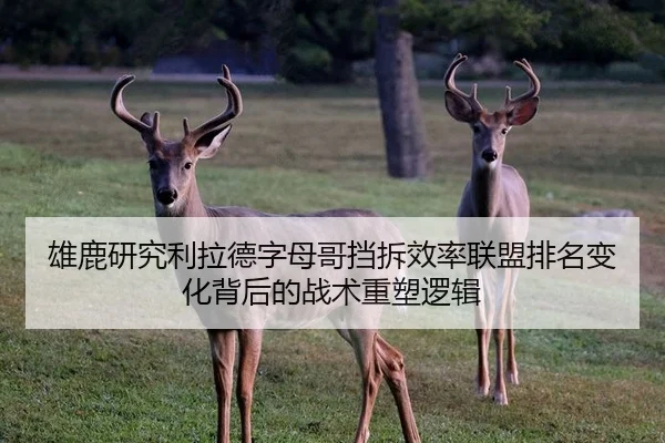 雄鹿研究利拉德字母哥挡拆效率联盟排名变化背后的战术重塑逻辑